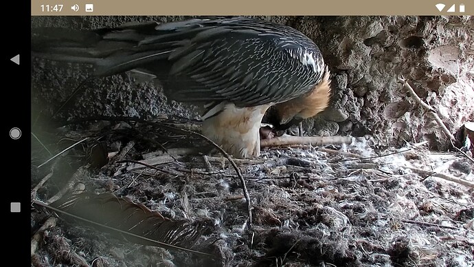 Screenshot_20221001-114716