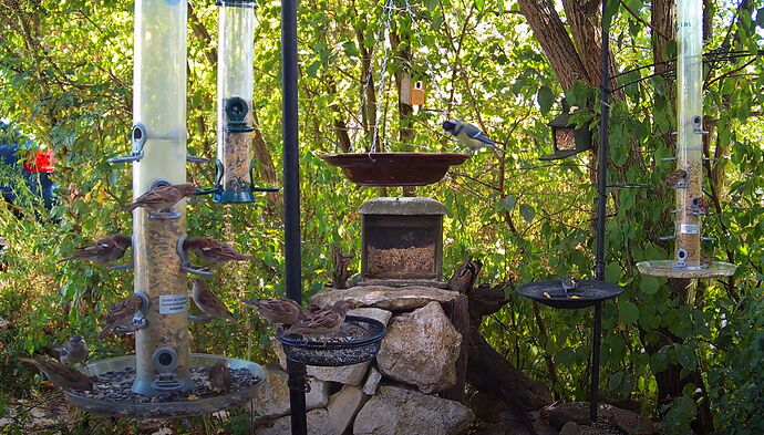 Snap_2022.08.15_15h50m33s_008_