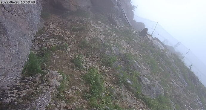 Snap_2022.06.28_14h00m19s_022_