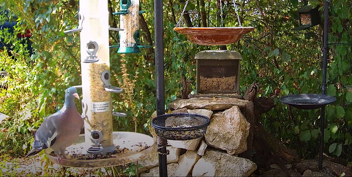 Snap_2022.08.16_10h44m50s_007_