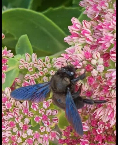 Screenshot_20220921-154430_WhatsApp