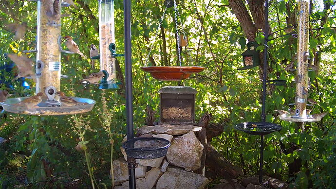 Snap_2022.08.03_17h19m10s_029_