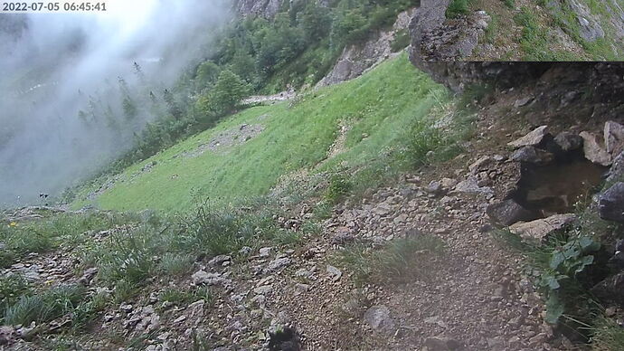 Snap_2022.07.05_06h46m10s_012_