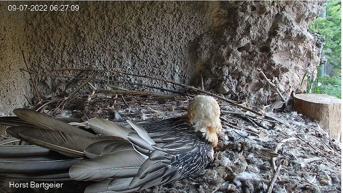 Snap_2022.07.09_06h27m53s_008_