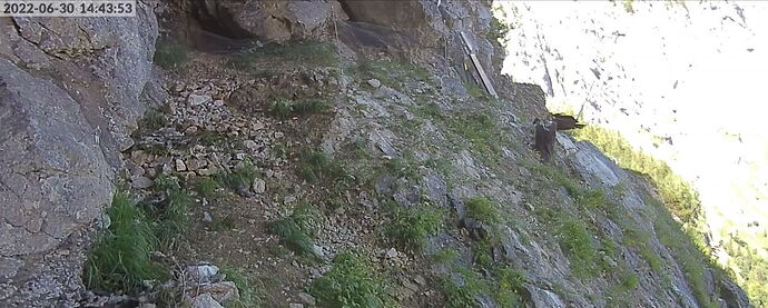 Snap_2022.06.30_14h44m23s_020_