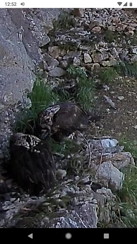 Screenshot_20220630-125243