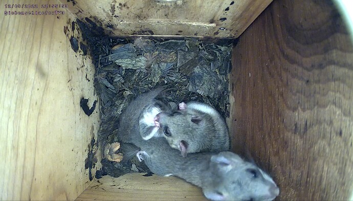 Screenshot_20220912-225705_Chrome