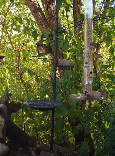 Snap_2022.08.12_15h17m36s_003_