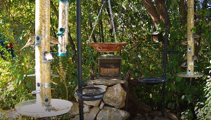 Snap_2022.08.17_10h59m10s_004_