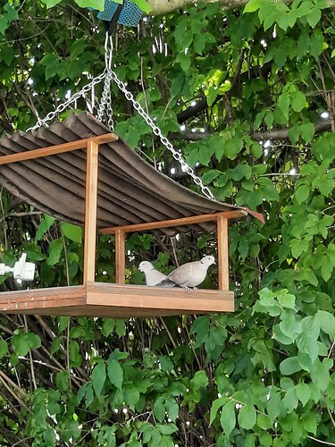 16602304922351826871057352620455