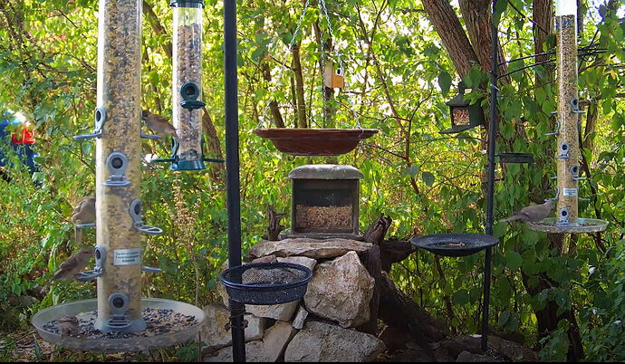 Snap_2022.08.18_15h40m10s_007_