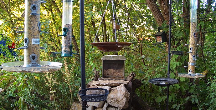 Snap_2022.08.07_06h55m36s_008_