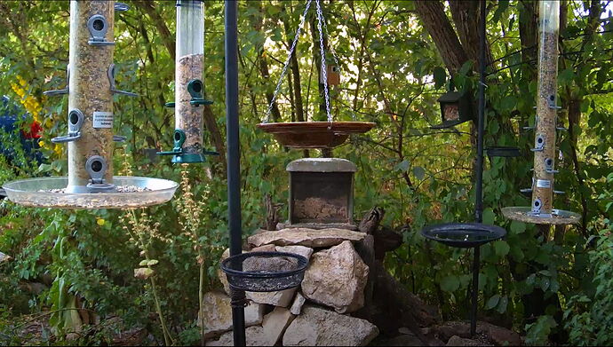 Snap_2022.08.05_20h26m03s_025_