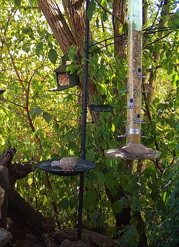 Snap_2022.08.12_15h18m28s_004_