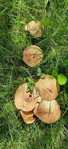 WhatsApp Image 2022-09-02 at 13.42.05