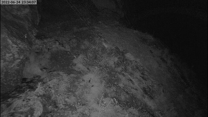 webcam1_018