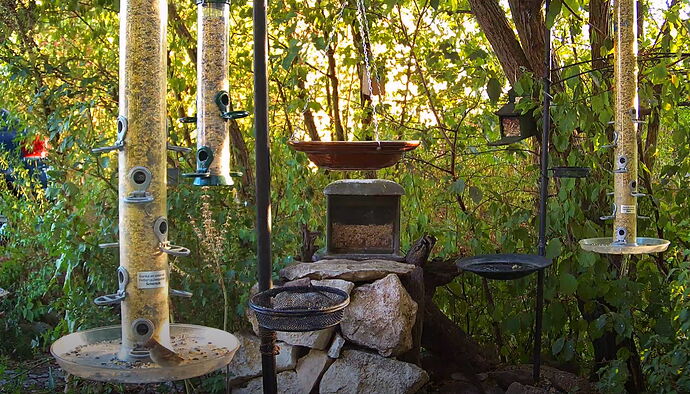 Snap_2022.08.16_19h18m48s_018_