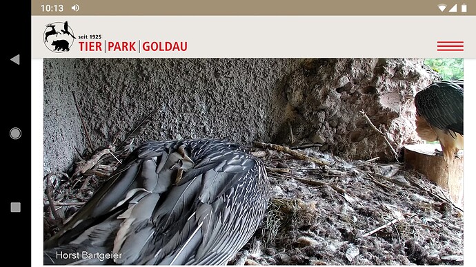 Screenshot_20220925-101344