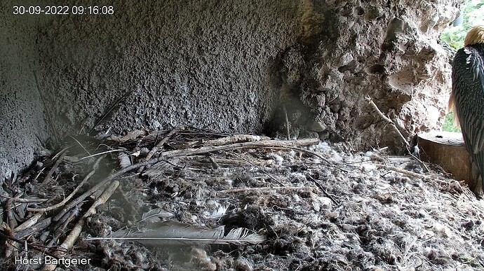 Screenshot_20220930-091711_Edge