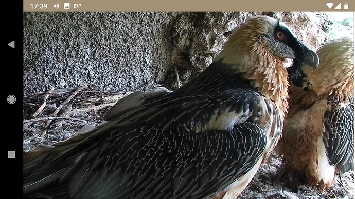 Screenshot_20220928-173940