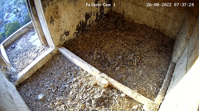und wieder weg