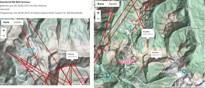 bpos_220919_Fortuna_Bavaria