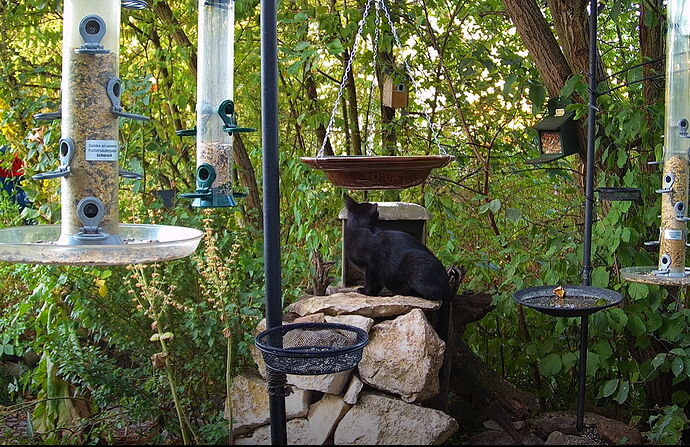 Snap_2022.08.08_06h36m21s_005_