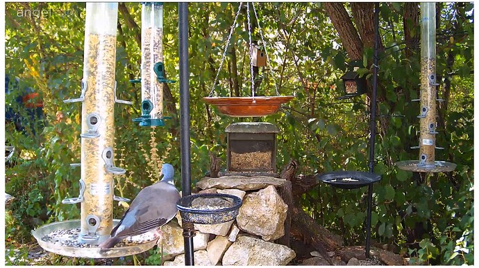 374AFFCC-AB55-4626-9CAE-72C821FAE3AD 2