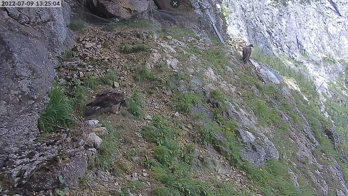 Snap_2022.07.09_13h25m41s_028_