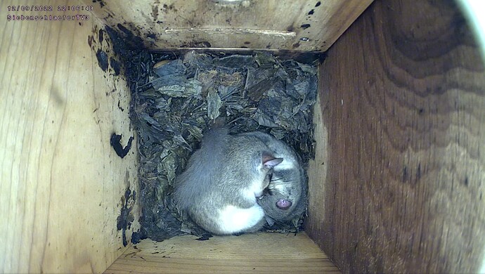 Screenshot_20220912-220758_Chrome