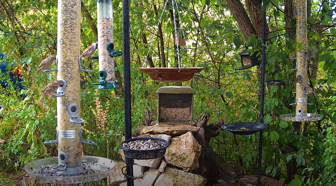 Snap_2022.08.19_13h53m23s_002_