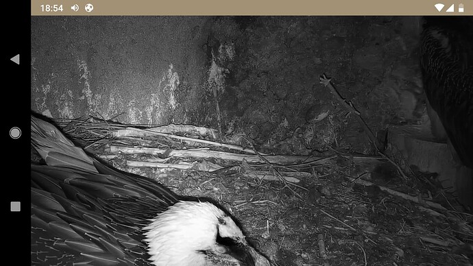 Screenshot_20221001-185425