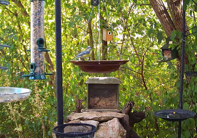 Snap_2022.08.10_15h17m06s_012_