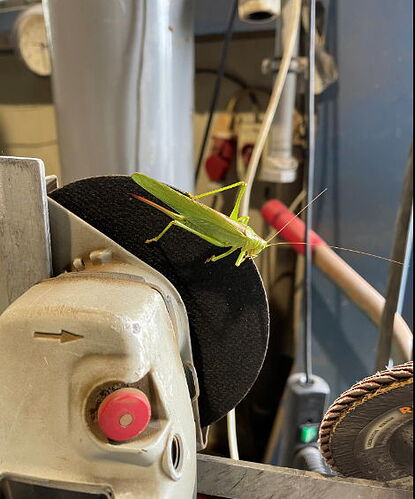 Snap_2022.09.13_14h59m15s_007_