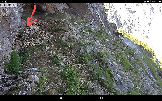 Screenshot_2022-06-30-15-31-45-282~2