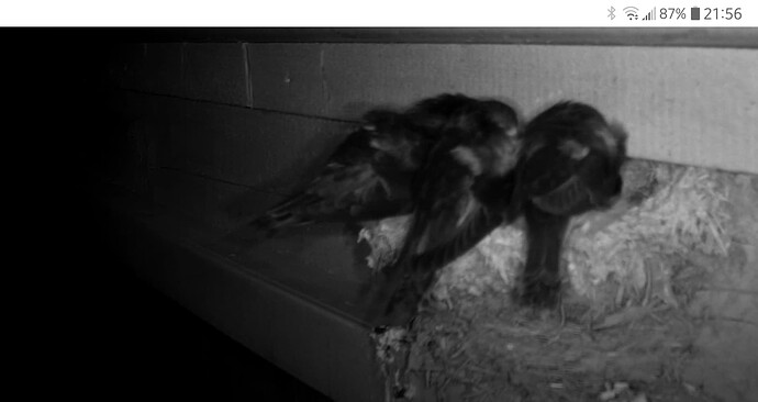 Capture+_2022-08-03-21-56-59