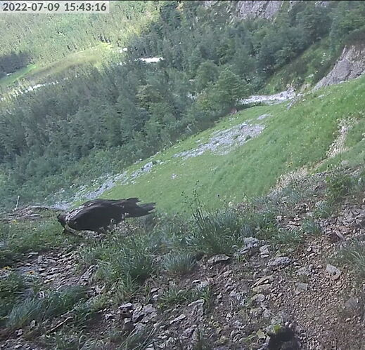 Snap_2022.07.09_15h43m50s_034_