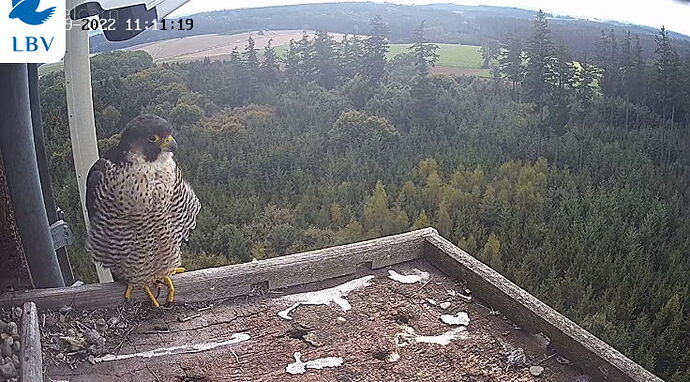 Snap_2022.09.26_12h12m13s_008_