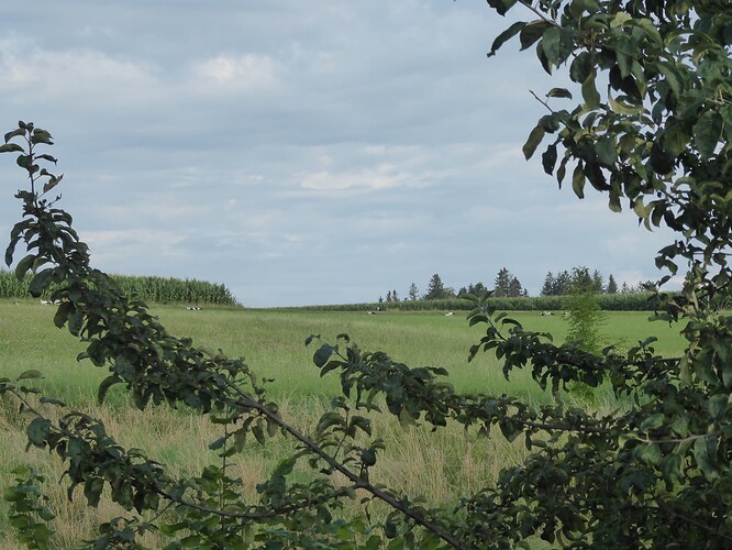 P1070745