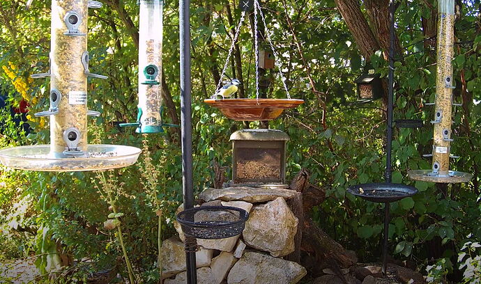 Snap_2022.08.05_10h58m32s_010_