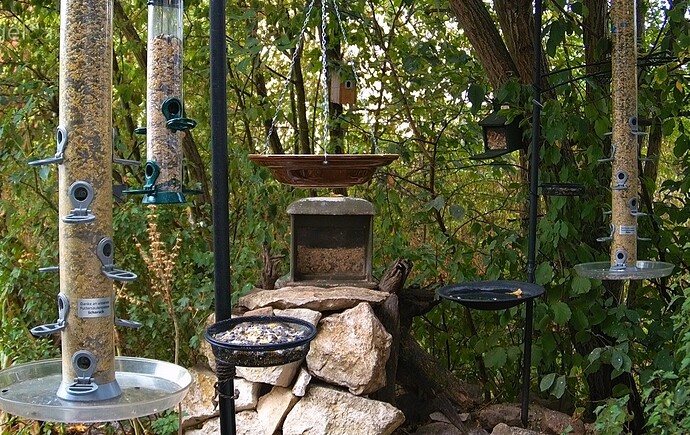 Screenshot_20220819-070924_Chrome