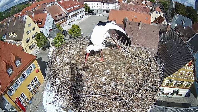Bild