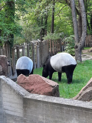 Tapir2