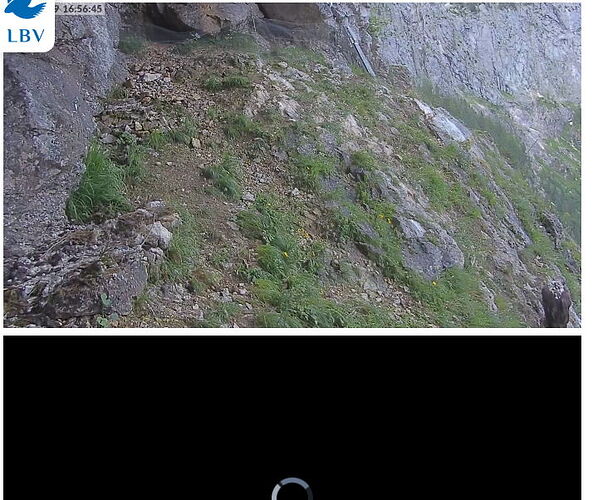 Snap_2022.07.09_16h57m13s_037_