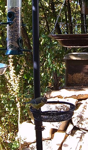 Screenshot_20220807-092112_Samsung Internet