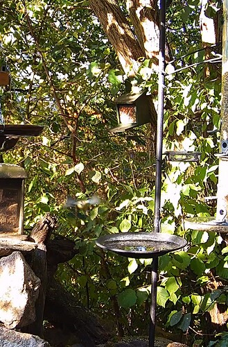 Screenshot_20220807-082349_Chrome