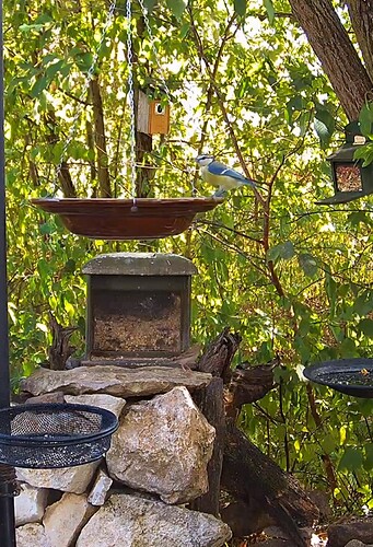 Screenshot_20220811-162022_Chrome