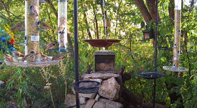 Snap_2022.08.05_18h32m38s_021_