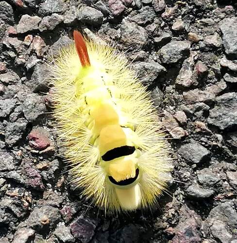 FB_IMG_1665123830380