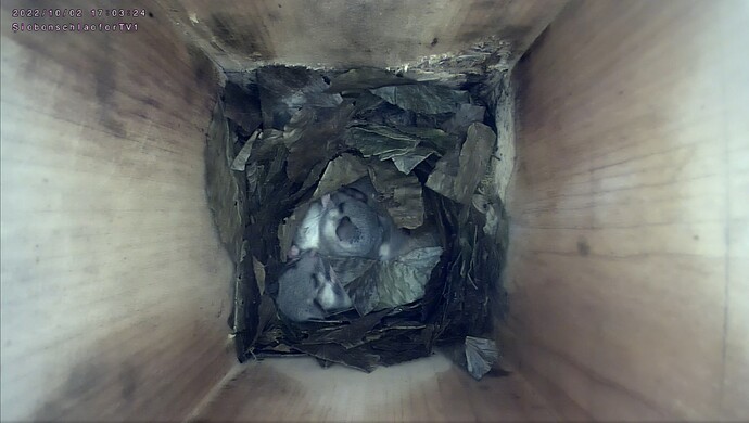 Screenshot_20221002-170449_Chrome